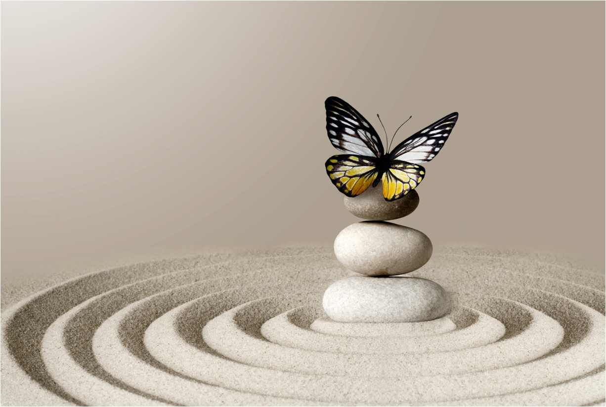 Zen Garden